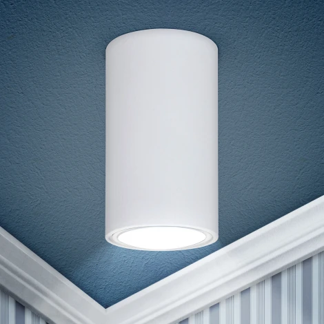 Точечный светильник ЭРА OL15 GU10 WH (220V)