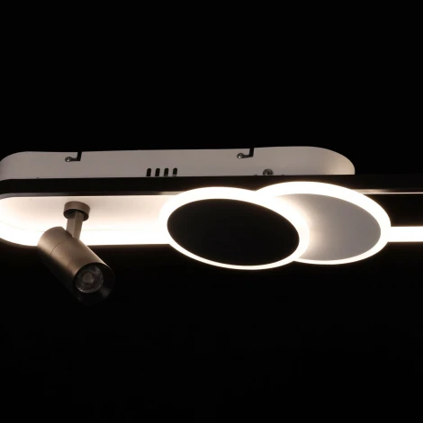 Настенно-потолочный светильник со спотом DeMarkt Драйв 377013604 (LED, 220V, пульт управления)