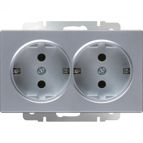 Розетка двойная с заземлением (серебряный) W1172006 (a051525)