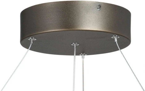 Подвесной светильник светодиодный V4676-2/2S (220V, круглые)