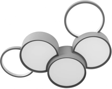 Потолочный светильник Loft It Pin 10317/5 Grey