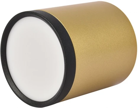 Точечный светильник накладной Favourite Baral 3082-1C (LED, 220V, круглые)