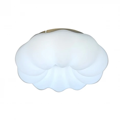 Потолочный светильник с пультом Zortes Soft ZRS.1118.2 (LED, 220V, цветы)