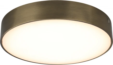 Потолочный светильник круглый Aployt Evon APL.0113.29.24 (LED, 220V, круглые)