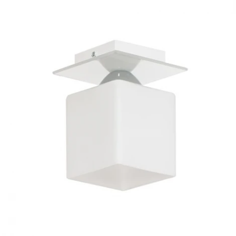 Накладной точечный светильник Lampex Floki 559/1 BIA