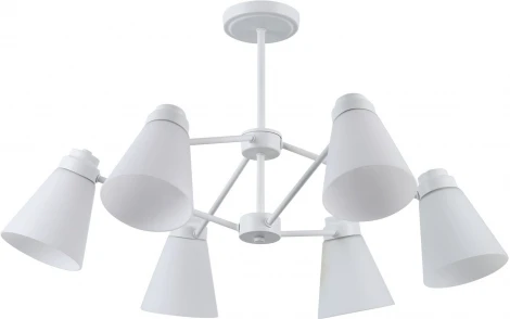 Потолочная люстра на штанге Reluce 74532-0.3-06 (220V)