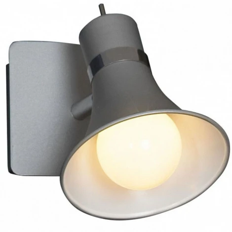 Спот Lussole Monterado LSL-7201-01