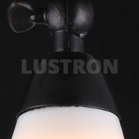 Спот Maytoni Spot 1 ECO001-01-R