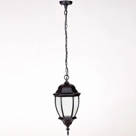 Уличный светильник подвесной Oasis Light 91205L Bl (220V, на цепи, IP44)