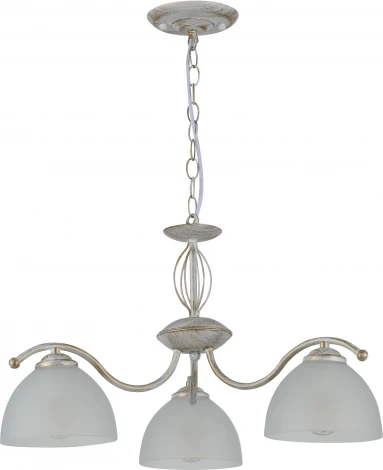 Подвесная люстра Rivoli Valerie 9169-303 (220V, на цепи)