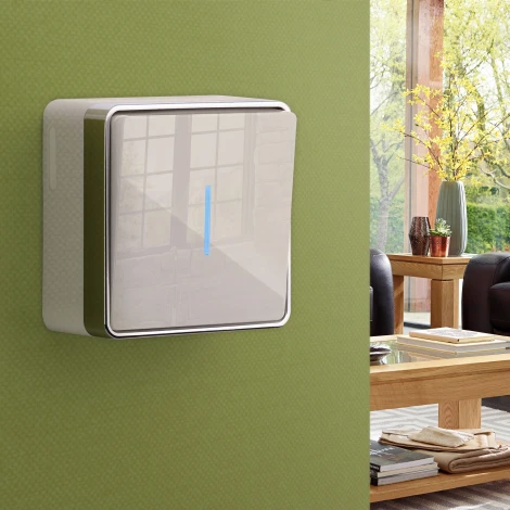 Выключатель одноклавишный с подсветкой Gallant (слоновая кость) Werkel W5010103 (a051542)