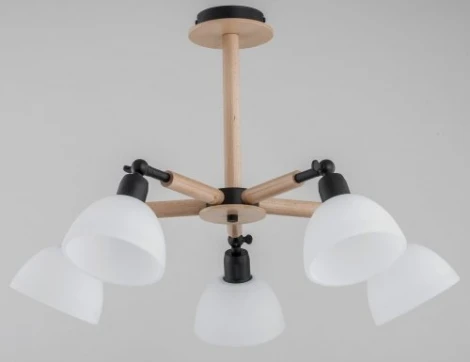 Потолочная люстра Alfa Bushwick 27005