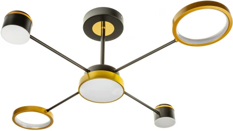 Потолочная люстра на штанге светодиодная Ritter Notte 51595 5