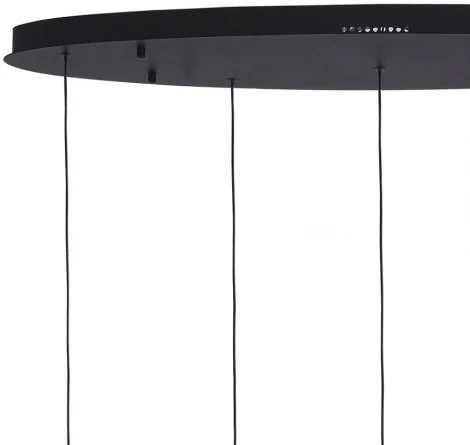 Подвесной светильник Lumien Hall Danay LH8027/5P-BK-SGD