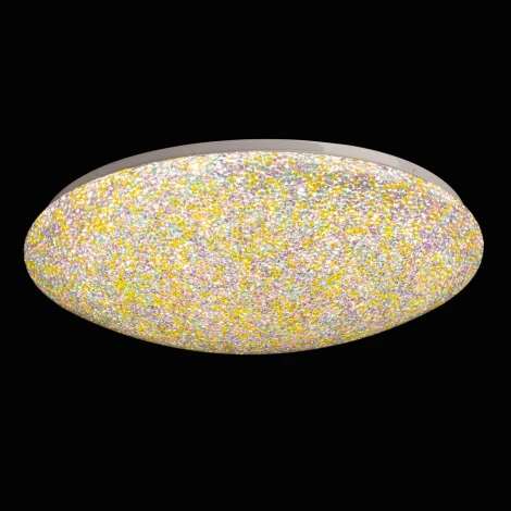 Потолочный светильник круглый с пультом светодиодный De City Ривз 674018201