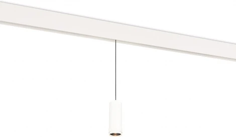 Трековый светодиодный светильник низковольтный 10W 48V Donolux Pratica DL20299WW10WS (круглые)