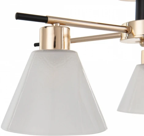 Потолочная люстра на штанге Arte Milano Napoli 322119/5 FG+BK (220V)