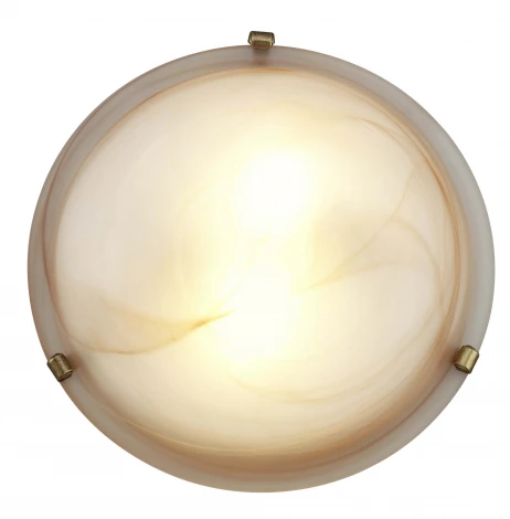 Настенно-потолочный светильник Brilliant Mauritius 90104/20