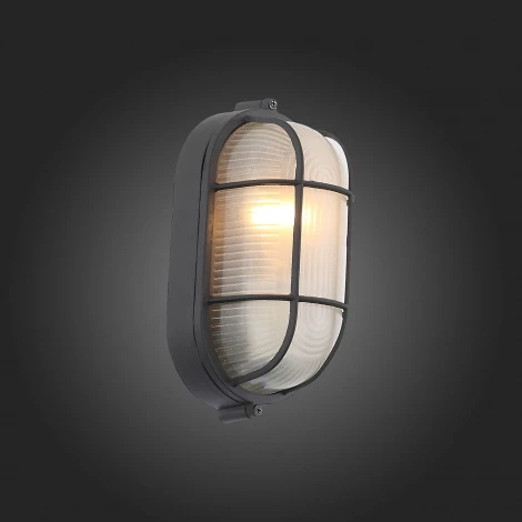 Настенный светильник уличный ST Luce Vecchio SL075.411.01