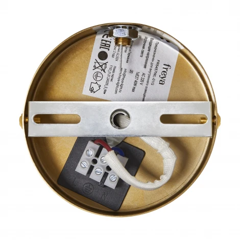 Настенный светильник Freya Cosmic FR5457WL-01G