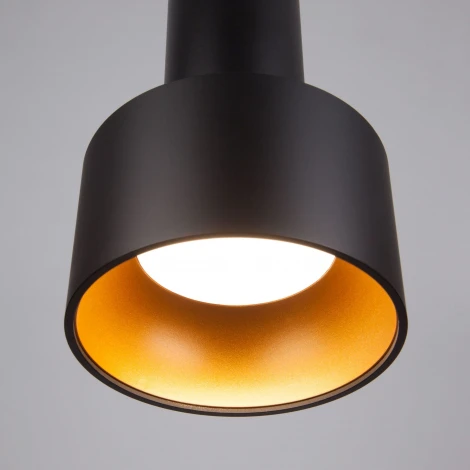 Подвесной светильник Eurosvet Charlie 50134/1 LED черный/золото