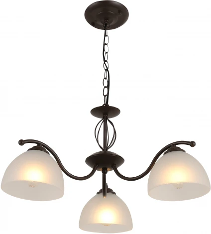 Подвесная люстра Rivoli Jackeline 9141-303 (220V, на цепи)