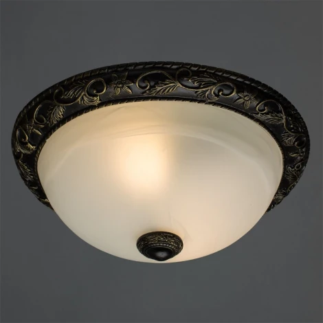 Потолочный светильник Arte Lamp Torta A7161PL-2AB