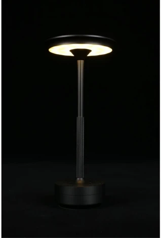 Настольная лампа светодиодная Aployt Markel APL.064.24.05 (220V)