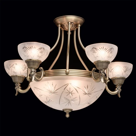 Потолочная люстра MW-Light Афродита 317013308