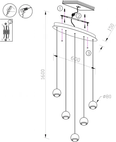 Подвесной светильник Lumien Hall Danay LH8027/5P-BK-SGD