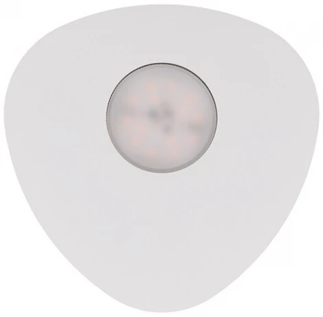 Потолочный светильник Nowodvorski Organic 8305