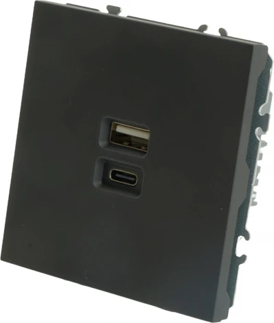 Розетка USB Type A+С (черный) Stekker Эмили 49853