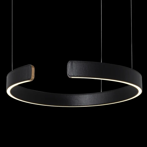 Подвесной светильник Loft IT Ring 10025/400 Black (LED, 220V, на тросе, кольцо)