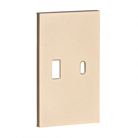 USB+type С, накладка 2-ух модульная шампань матовый Meiton ACH12C