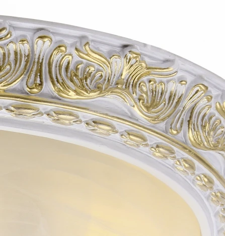 Потолочный светильник Arte Lamp Torta A7121PL-2WG