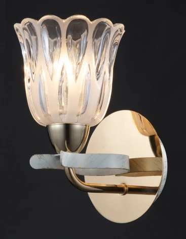 Бра Maytoni Eurosize 9 TOC009-01-G