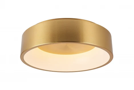 Потолочный светодиодный светильник круглый MyFar Shannon MR2195-1PL (220V, пульт управления, круглые, IP40)