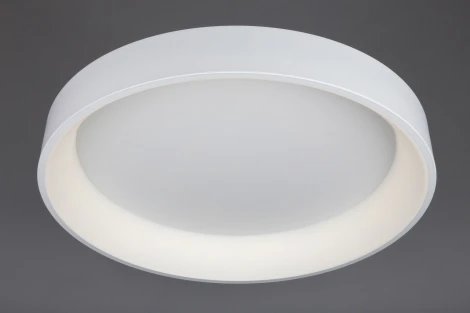 Потолочный светильник Omnilux Ortueri OML-48507-96