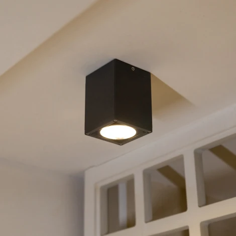 Потолочный светильник уличный светодиодный IP65 Natural Concepts Dwell NC-133474-DG (220V)