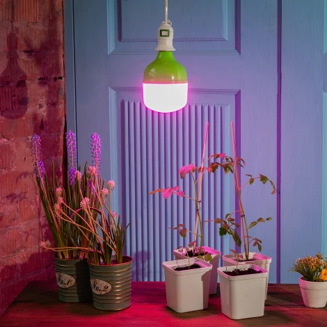 Лампочка светодиодная E27 20W цилиндр розовая Uniel LED-M80-20W/SPSB/E27/FR PLS55GR