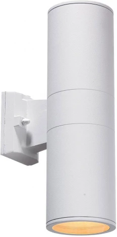 Архитектурная подсветка AM Group AM117 AM117Sh-2201WH (IP65)