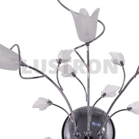 Бра MW-Light Подснежник 294022803