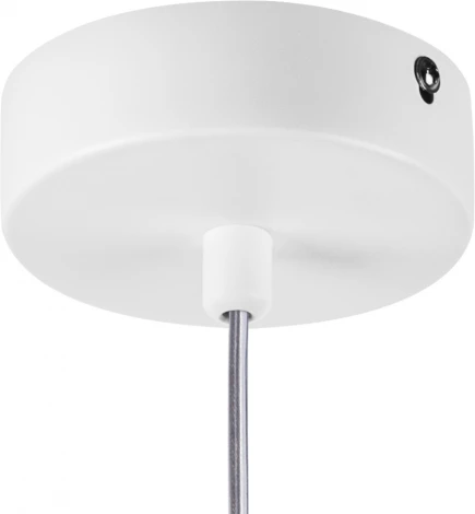 Подвесной светильник Lightstar Rocco 793126 (220V, на проводе)