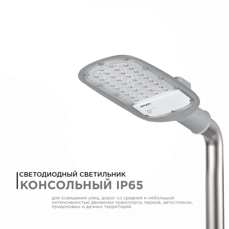 Уличный консольный светильник светодиодный 30Вт 3300лм 5000К IP65 КСС "Ш" серый Apeyron 29-01