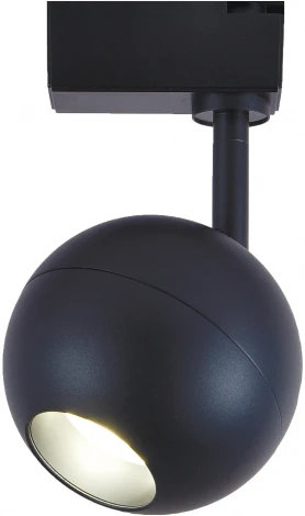 Трековый светильник Escada 20043 20043TRA/01LED SBK (220V, шар)