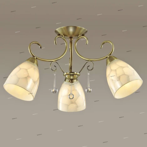 Потолочная люстра Lumion Eleconca 3511/3C