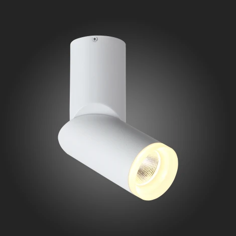 Спот ST Luce Tortelle ST107.502.10