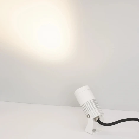 Прожектор уличный ALT-RAY-R44-8W Day4000 (WH, 33 deg, 230V) (Arlight, IP67 Металл) 053631 (LED)