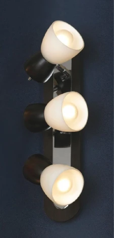 Настенно-потолочный светильник Lussole Messina LSL-8201-03
