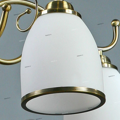 Brizzi Tarragona MA02640C/005 Bronze